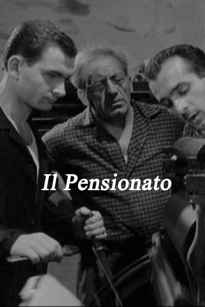 Póster de Il pensionato