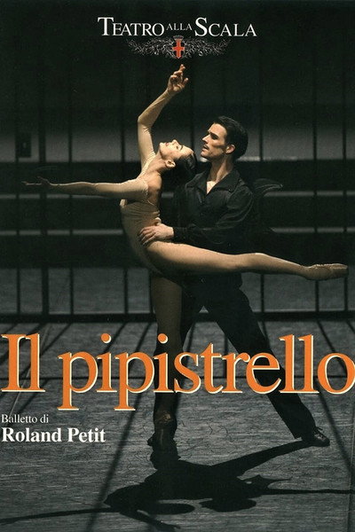 Póster de Il pipistrello