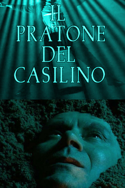 Póster de Il pratone del casilino