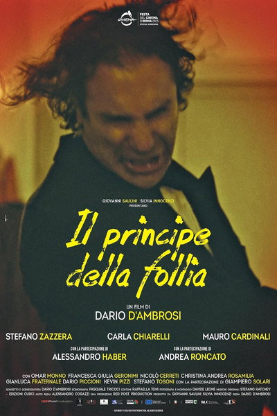 Póster de Il principe della follia
