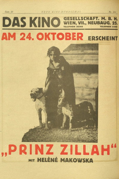 Póster de Il principe Zilah
