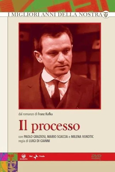 Póster de Il processo