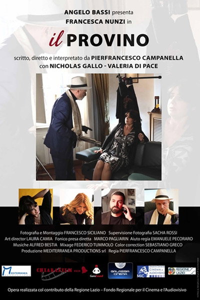 Póster de Il provino