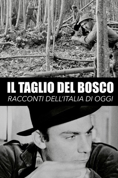 Póster de Il taglio del bosco