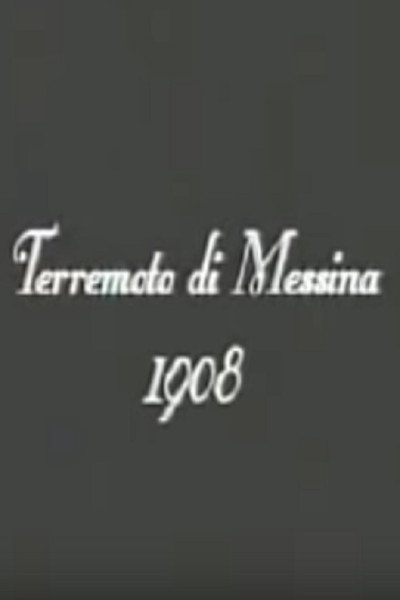 Póster de Il terremoto calabro-siculo