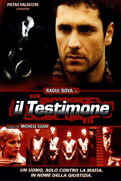Póster de Il testimone