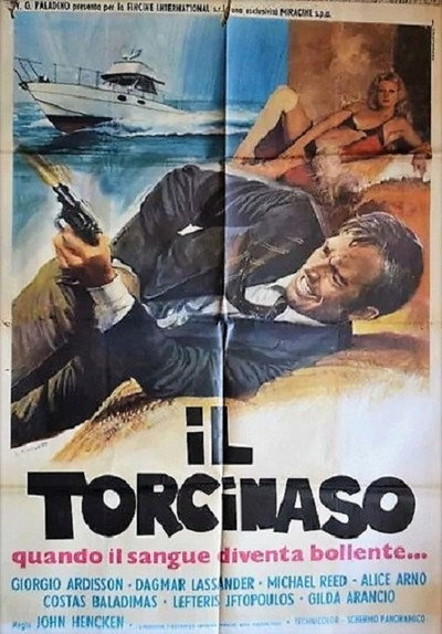 Póster de Il torcinaso