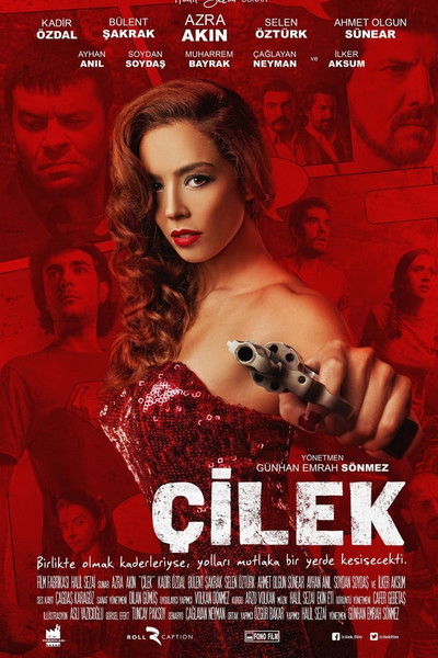 Póster de Çilek