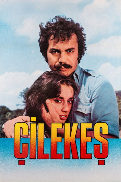 Póster de Çilekes