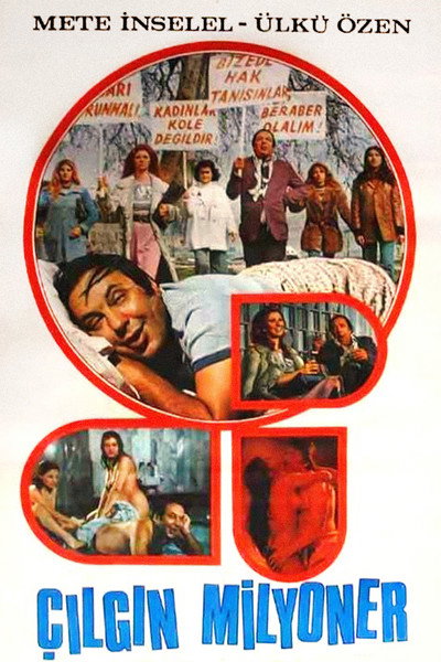 Póster de Çilgin Milyoner