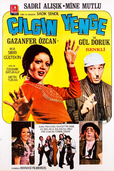 Póster de Çilgin Yenge