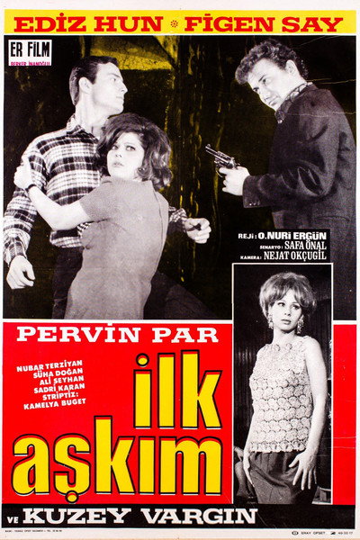 Póster de Ilk askim