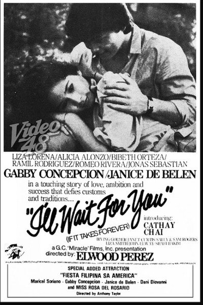 Póster de I'll Wait for You (If It Takes Forever!)