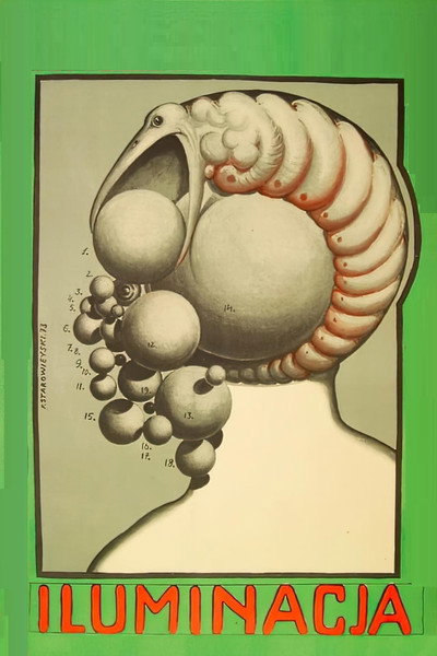 Póster de Iluminación