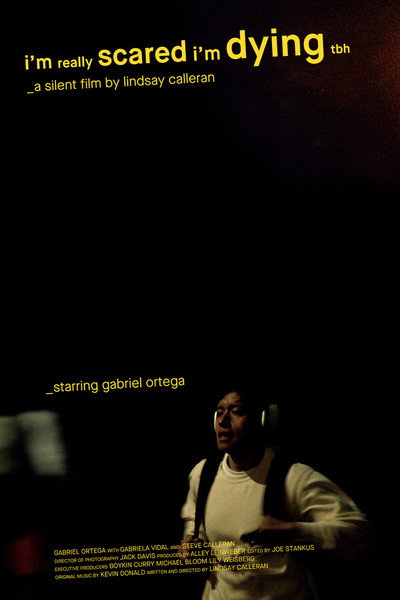 Póster de I'm Really Scared I'm Dying TBH