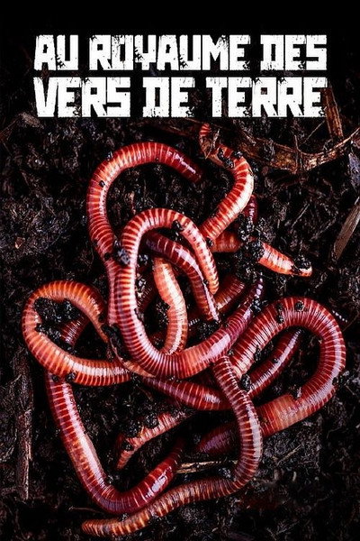 Póster de Im Reich des Regenwurms - Der Boden unter unseren Füßen