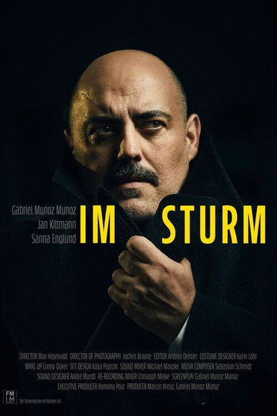 Póster de Im Sturm