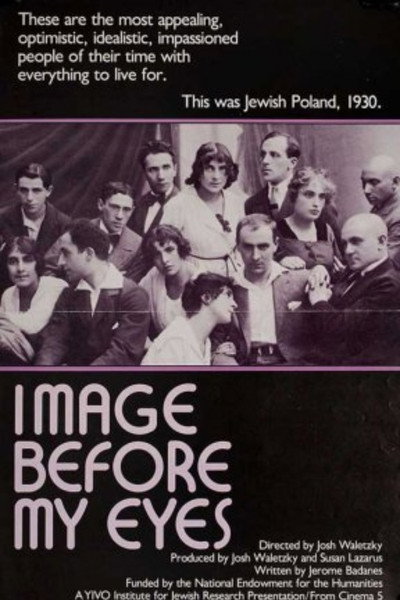 Póster de Image Before My Eyes