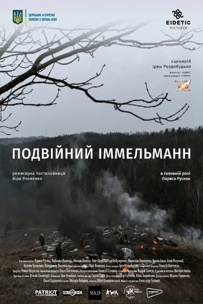 Póster de Immelmann Turn