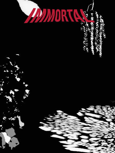 Póster de Immortal