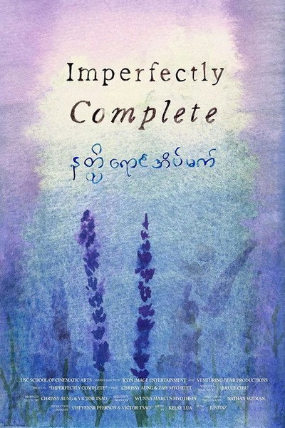 Póster de Imperfectly Complete