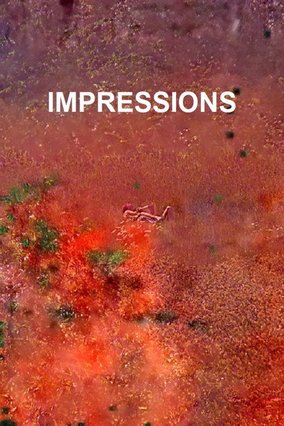Póster de Impressions