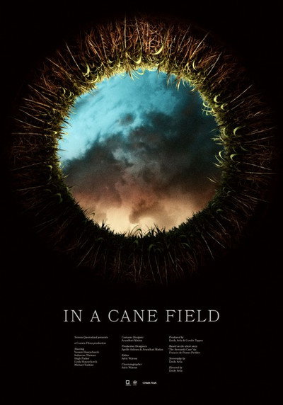 Póster de In a Cane Field