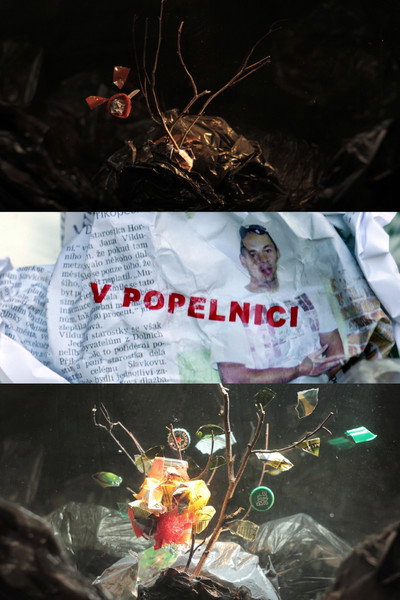 Póster de In a Dumpster