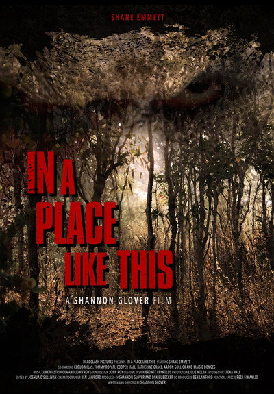 Póster de In a Place Like This