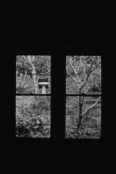 Póster de In and Out a Window