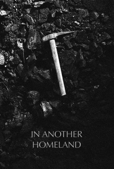 Póster de In Another Homeland