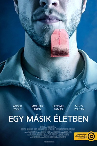 Póster de In Another Life