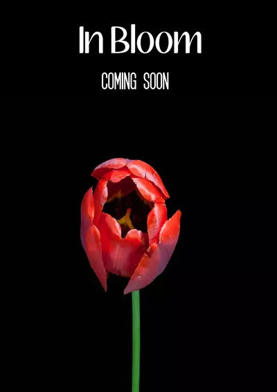 Póster de In Bloom
