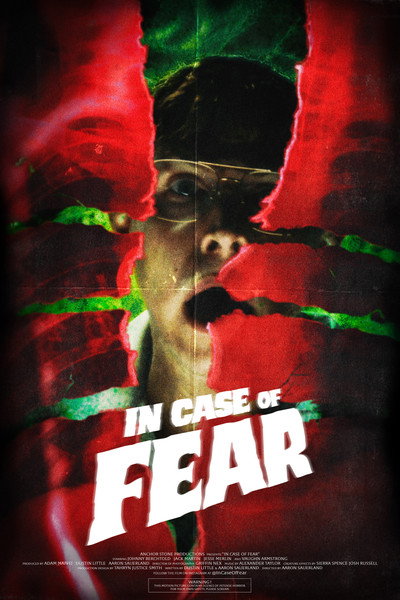 Póster de In Case of Fear