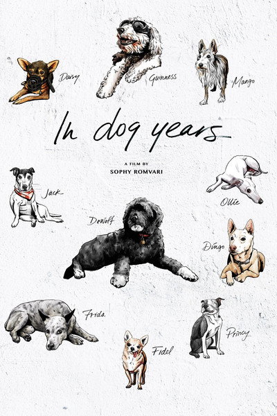 Póster de In Dog Years