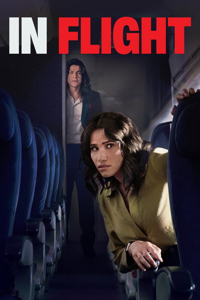 Póster de In Flight