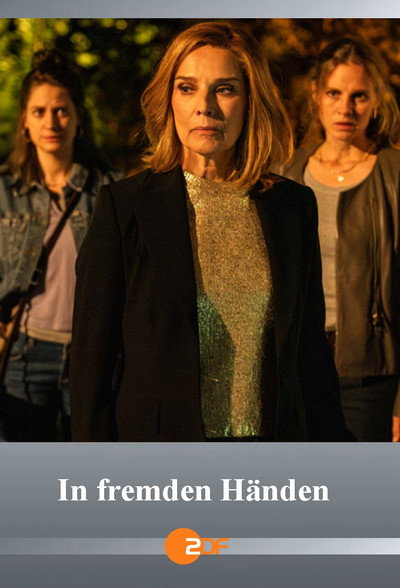 Póster de In fremden Händen