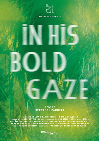 Póster de In His Bold Gaze