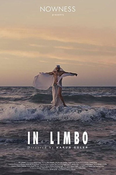 Póster de In Limbo