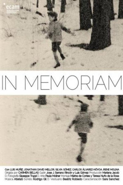 Póster de In memoriam