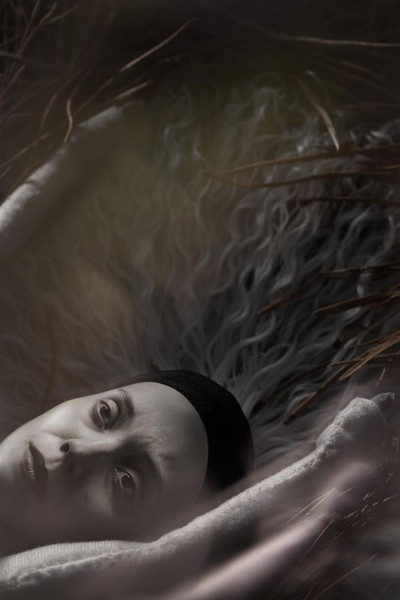 Póster de In Perpetuum