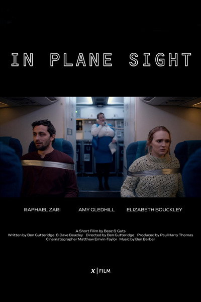 Póster de In Plane Sight