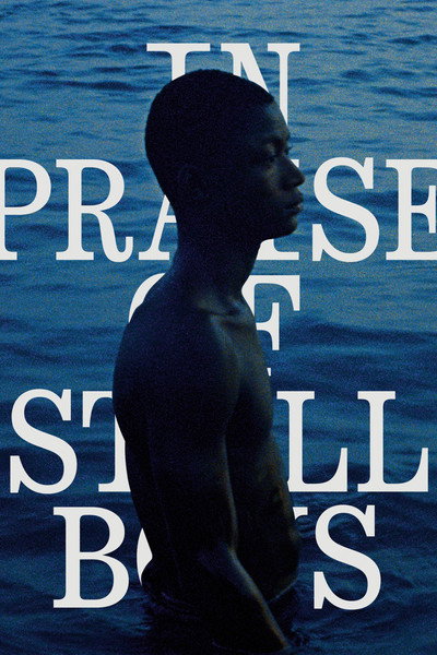 Póster de In Praise of Still Boys