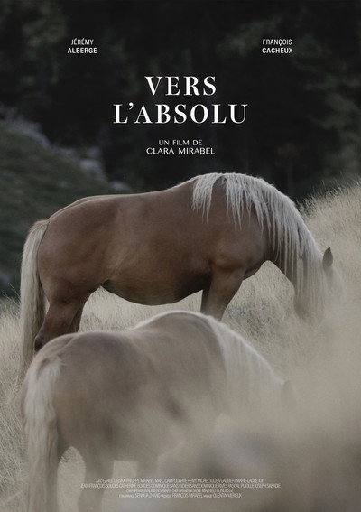 Póster de In Pursuit of the Absolute