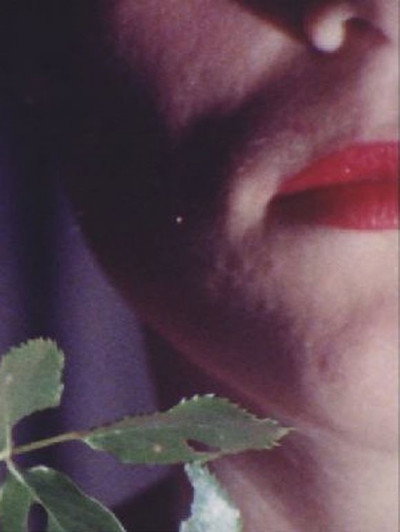 Póster de In Rouge