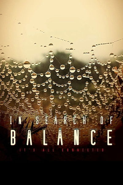 Póster de In Search of Balance