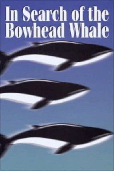Póster de In Search of the Bowhead Whale