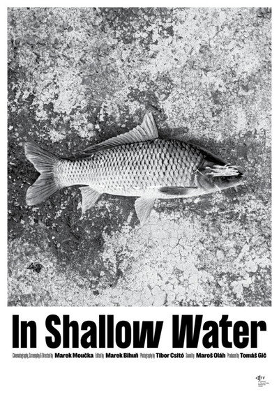 Póster de In Shallow Water
