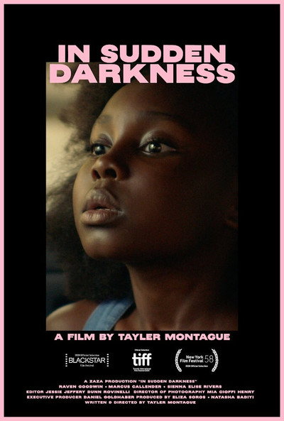 Póster de In Sudden Darkness