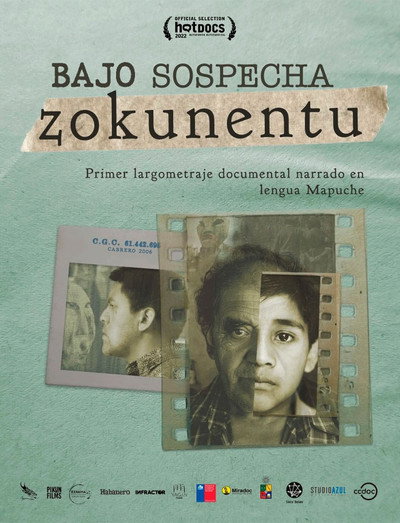 Póster de In Suspicion: Zokunentu